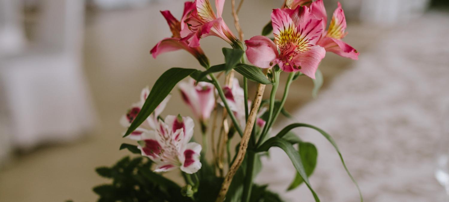 Beatriz Hoteles | Toledo | Lanzarote | Calella | 25