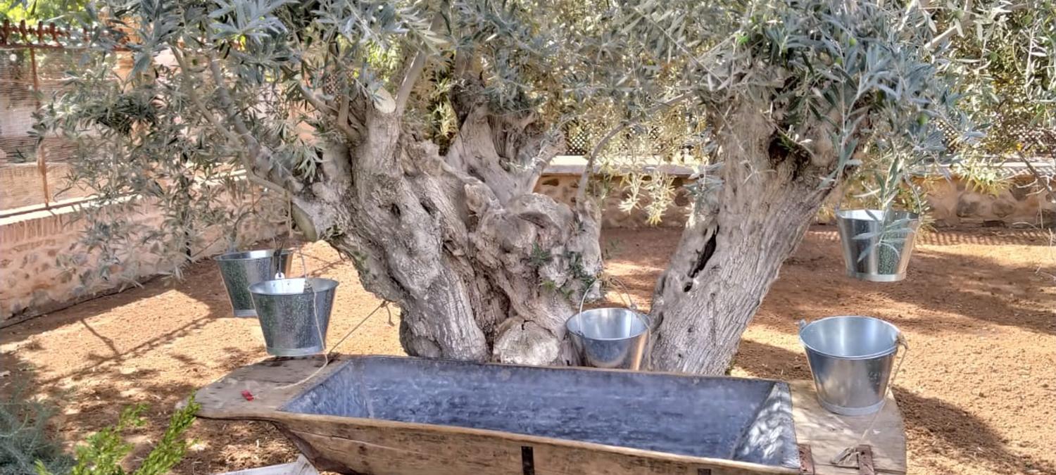 Beatriz Hoteles | Toledo | Lanzarote | Calella | 32